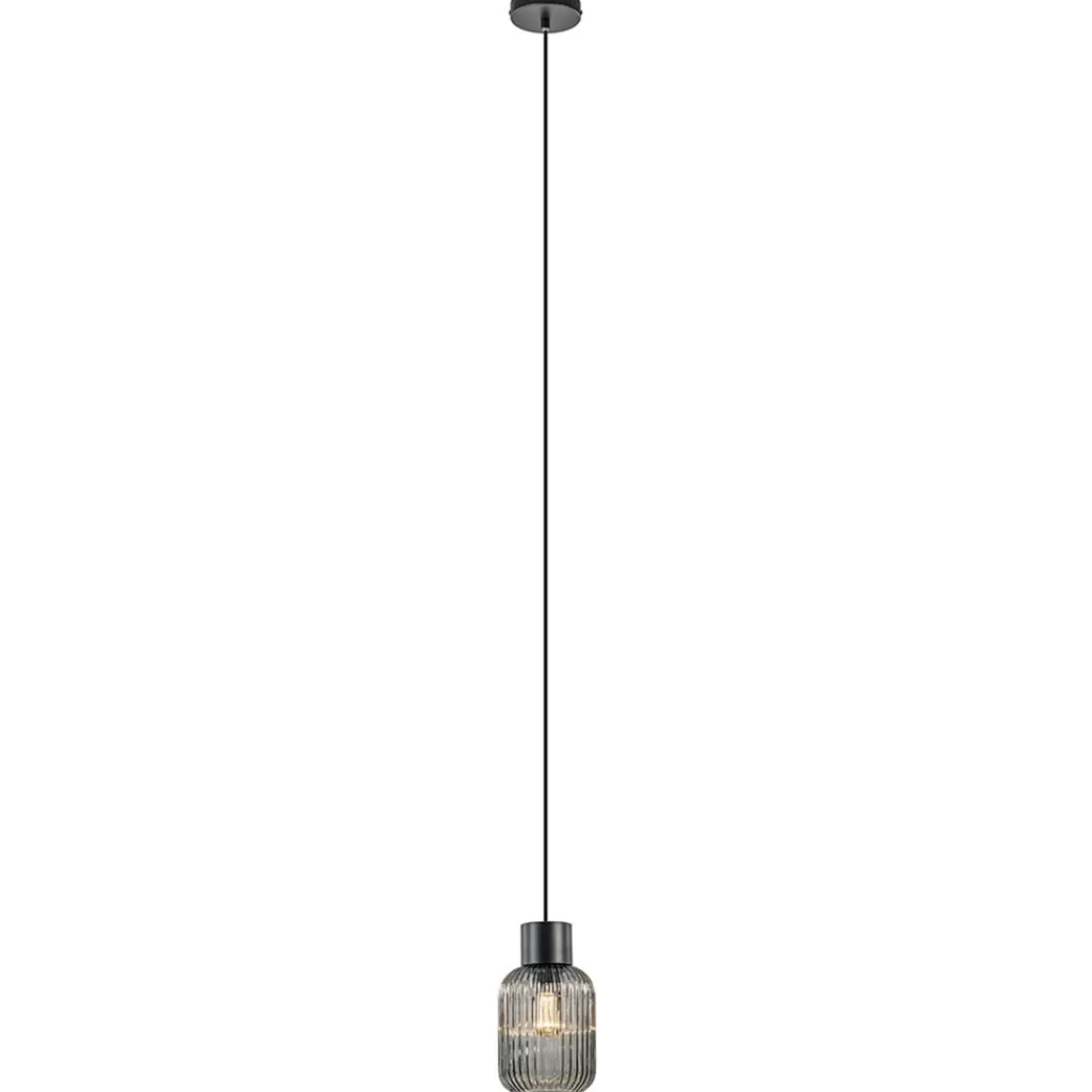 1-Lichts hanglamp zwart met smoke glazen cilinder>Straluma Best Sale