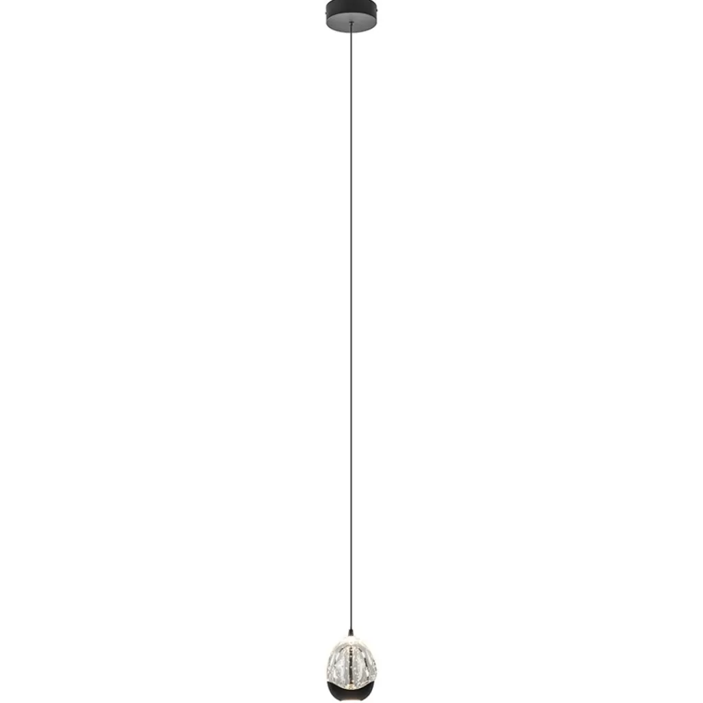 Hanglamp Black Egg 1L zwart/helder glas>Straluma Shop