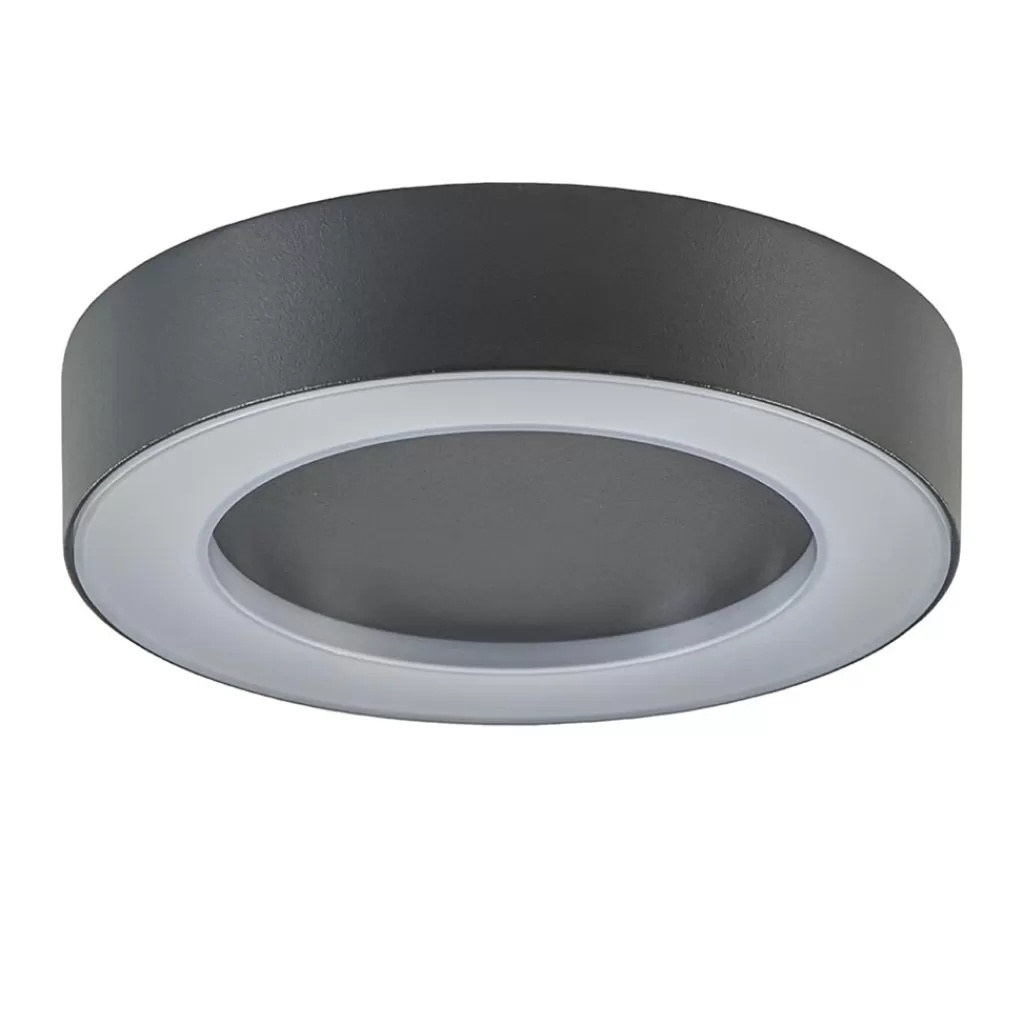 Moderne LED buitenlamp plafond/wand antraciet>Straluma Cheap