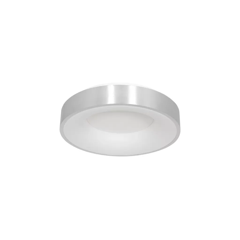 Plafondlamp Ringlede 30cm rvs led>Straluma Best