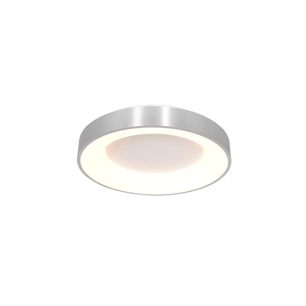 Plafondlamp Ringlede 30cm rvs led>Straluma Best