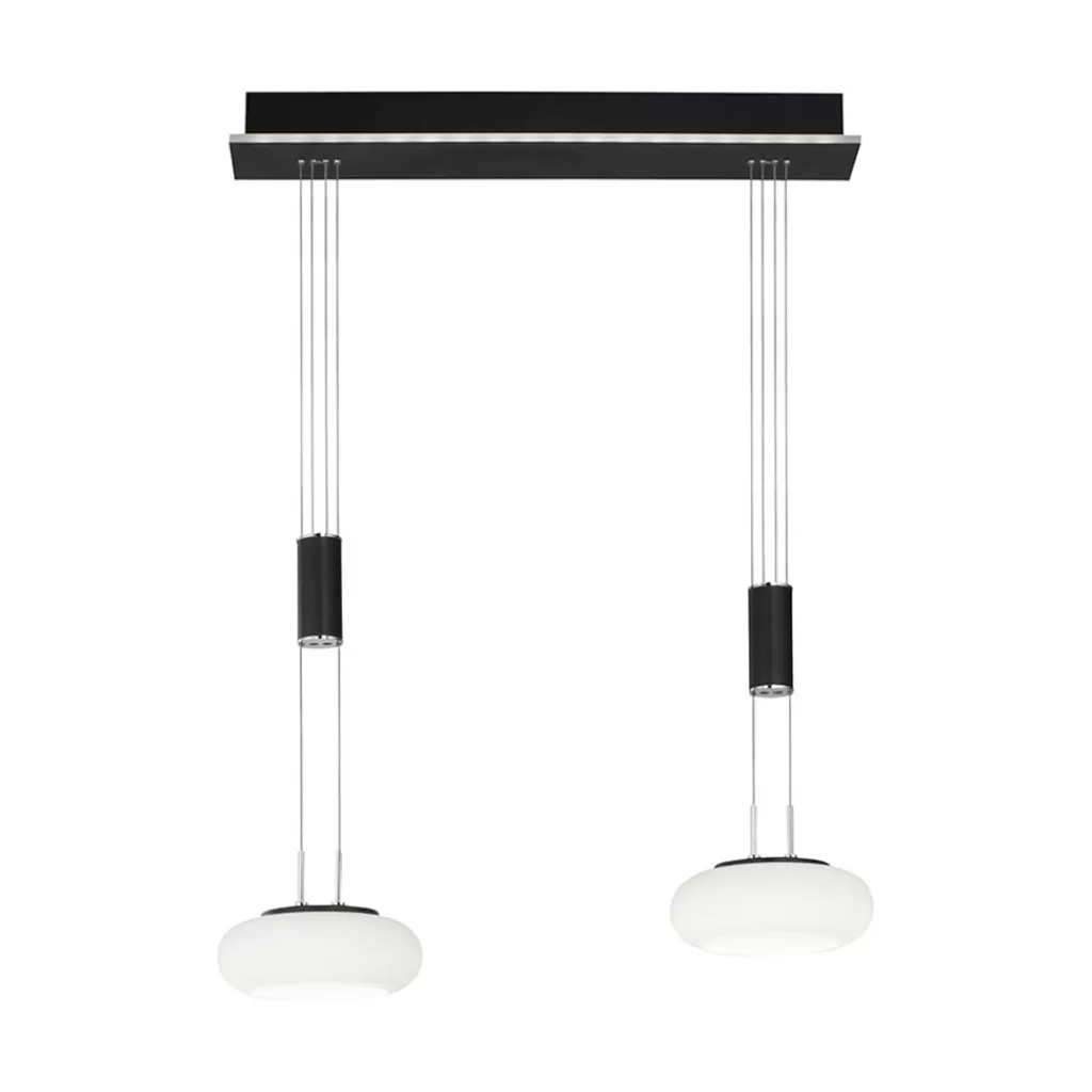 Smart hanglamp 2-lichts mat zwart met opaal glas dimbaar>Straluma Sale