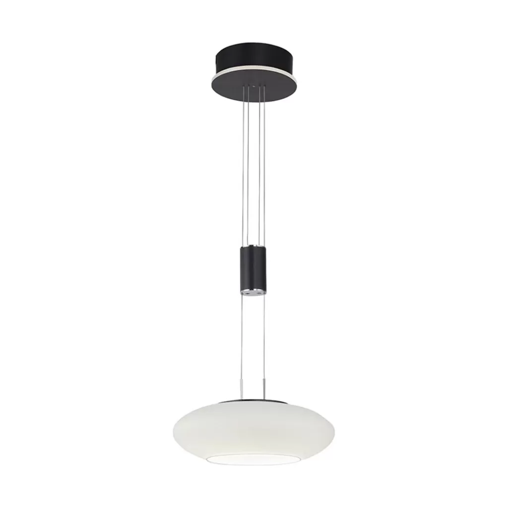 Smart hanglamp mat zwart met opaal glazen kap>Straluma Cheap